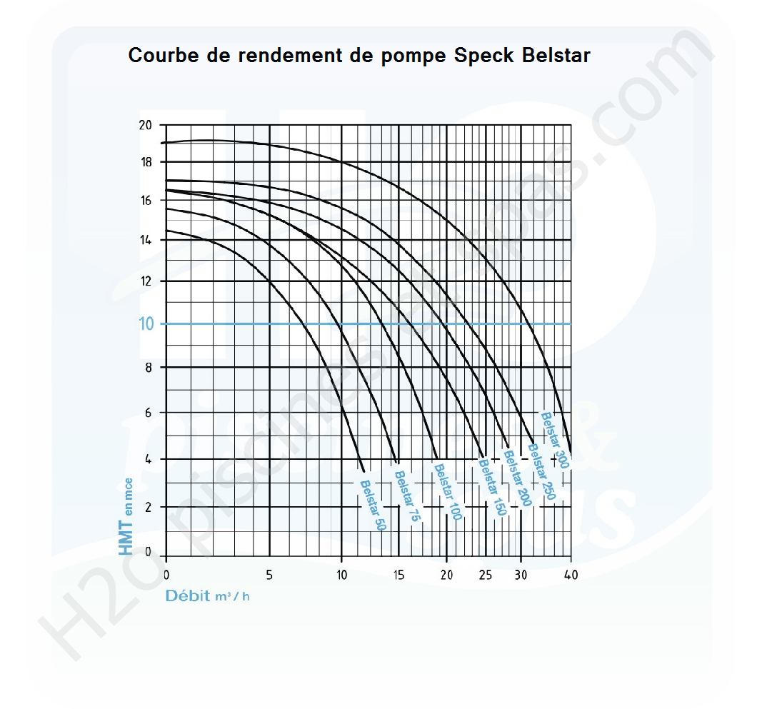 pompe de filtration belstar 50m (1)