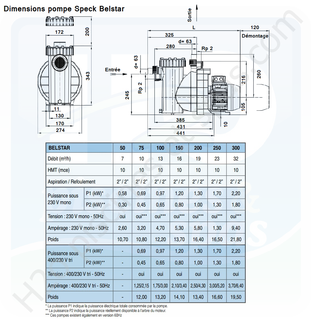 pompe de filtration belstar 75t (1)