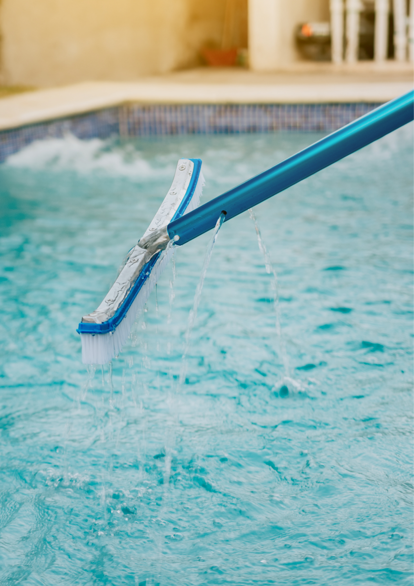 H2o Piscines et Spas - Brosse de paroi de piscine de 45 cm poils nylon, renfort aluminium
