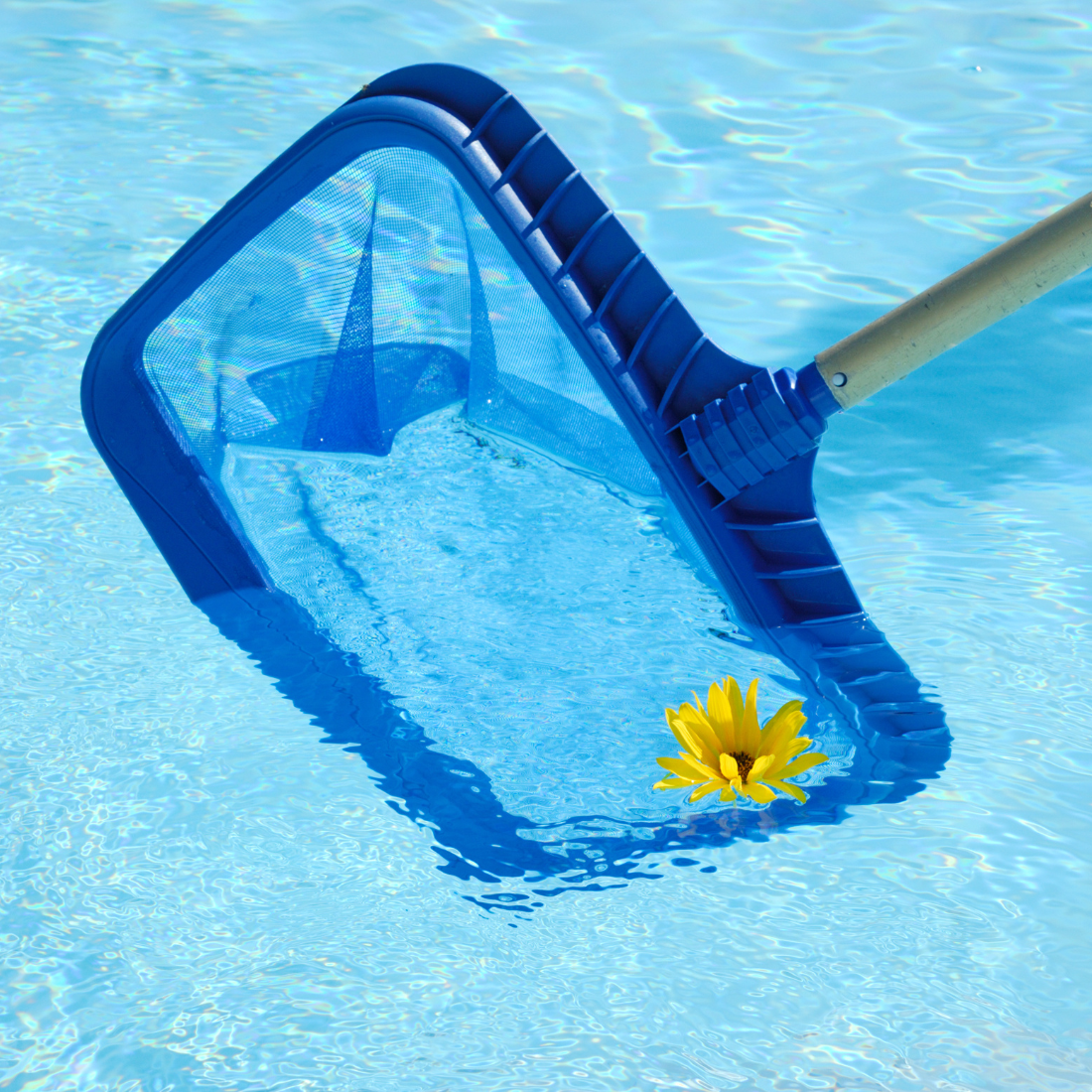 H2o Piscines et Spas - puisette de fond de piscine grande capacit en PVC