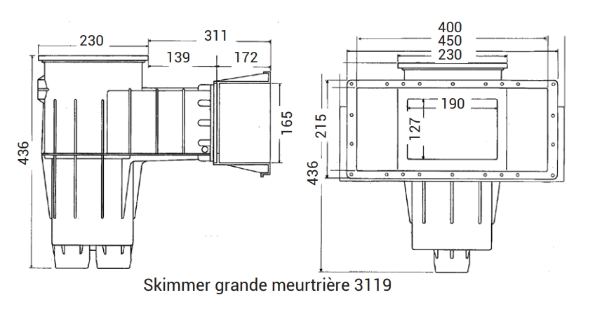 skimmer premimum hayward