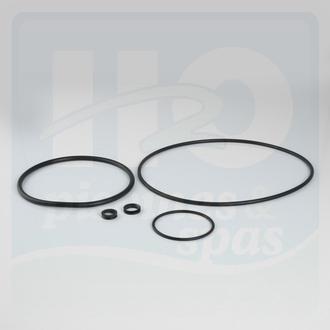 Pièces détachées piscines - Pompes de filtration