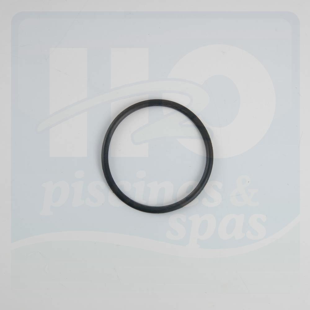 Joint torique de filtre de robot HAYWARD Phantom & Viper