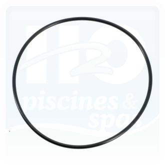 Joint de couvercle de filtre PENTAIR Tagelus Bleu TA475 et TA610 - Triton 6"