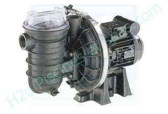 Pompe de filtration STA RITE 5P2RC1 - 0.5 cv - 8.5m3/h - Monophasé - eau salée