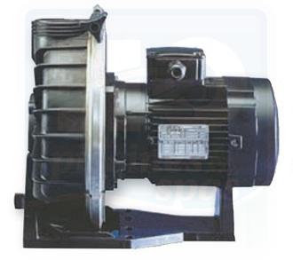 Pompe de filtration PENTAIR Challenger Booster - 2 cv - 25m3/h - Triphasé - Sans préfiltre