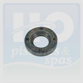 Pices dtaches piscines - Pompes de filtration