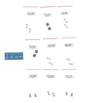 Kit de fusibles pour chlorinateurs BAYROL D12 et D24