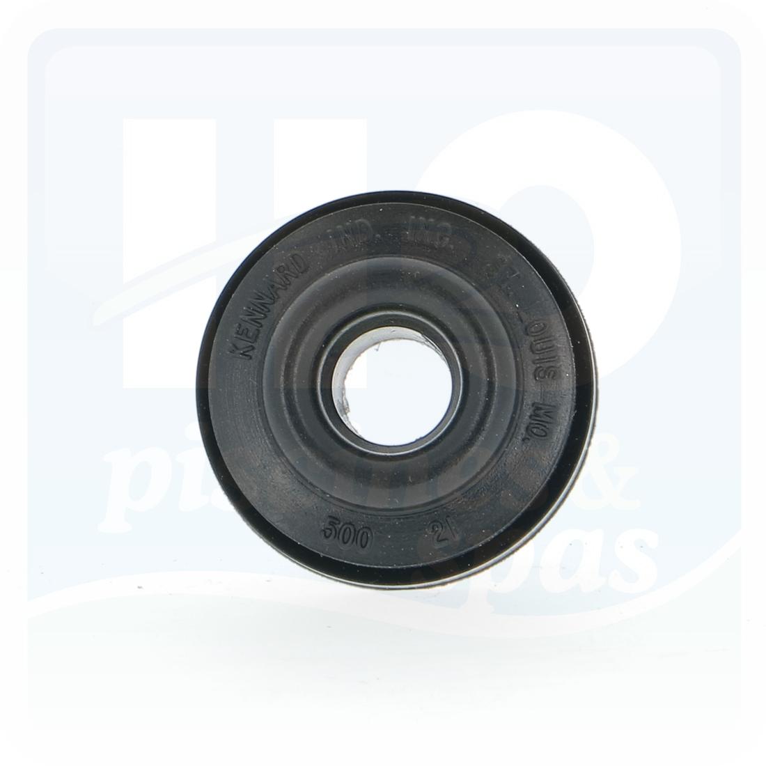 Œillet pour panneau latéral du robot DOLPHIN Pro X2