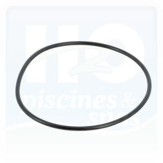 Joint de corps de pompe STA RITE Dyna glass