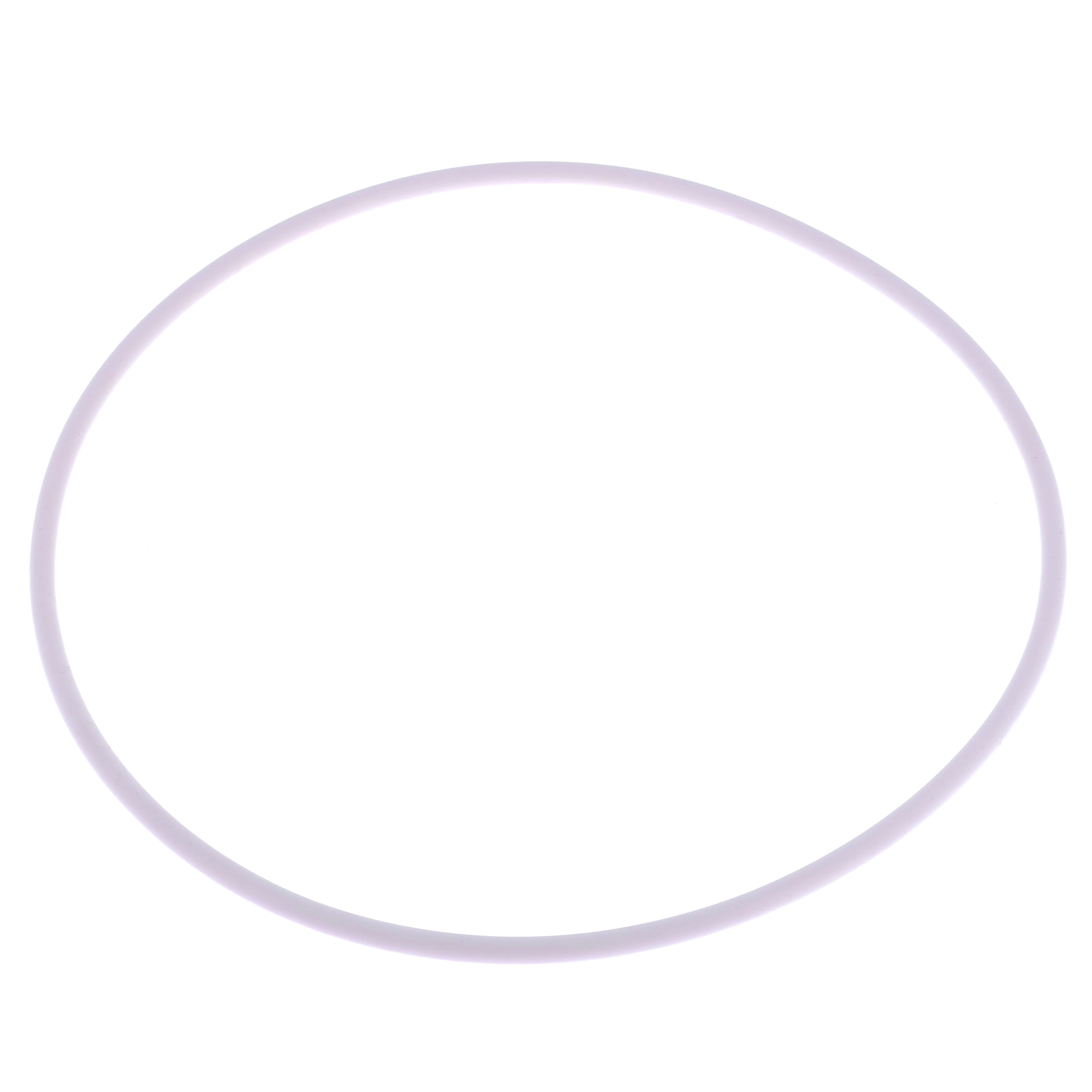 Joint de couvercle du filtre à sable WATERCO Micron