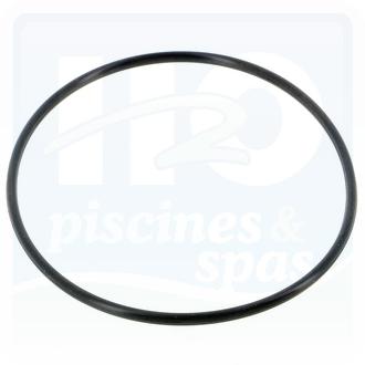 Joint de corps pour pompe POOL STYLE modèle AMU