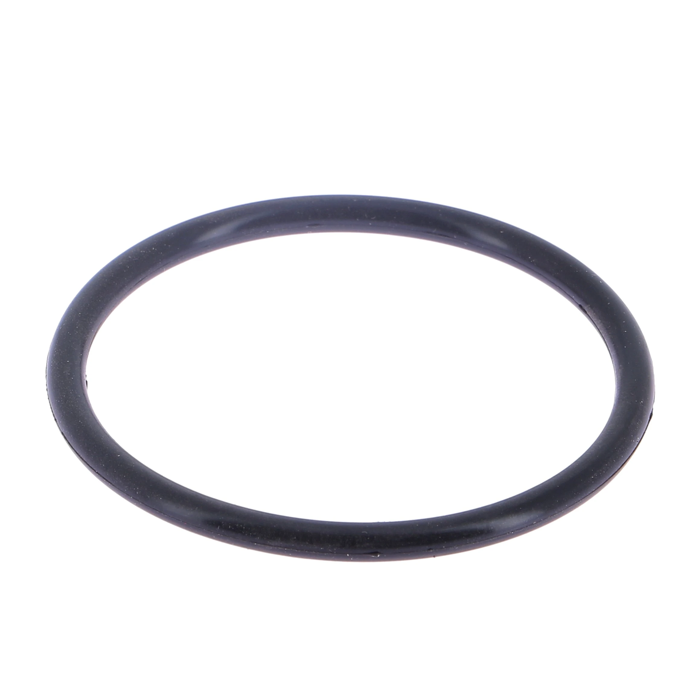 Joint torique moteur pour pompe de filtration AQUAGEM invermaster