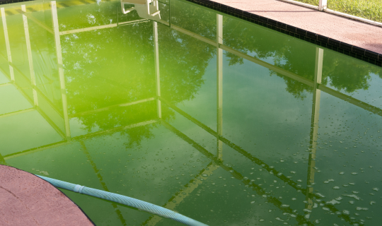Trop De Phosphate Dans La Piscine